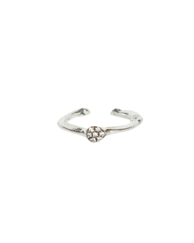 Fedina dendrite s argento