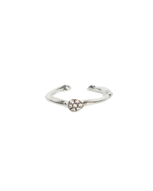 Fedina dendrite s argento