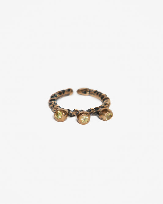 Fedina three Masaimara bronzo