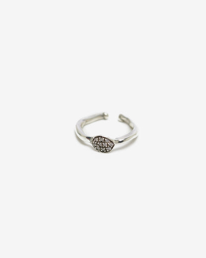 Fedina dendrite M argento