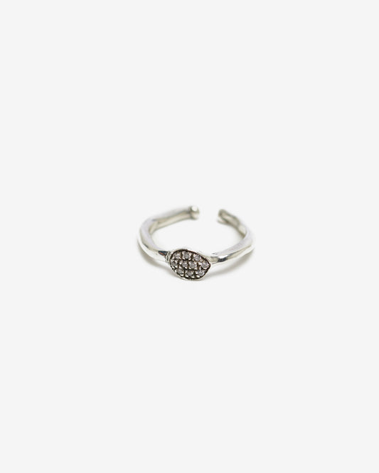 Fedina dendrite M argento