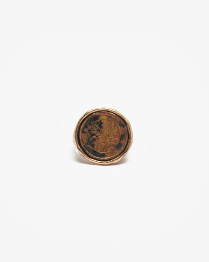 Chevalière zada bronzo